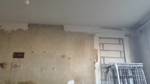 Alexander online show from February 2025 01:16:02 PM