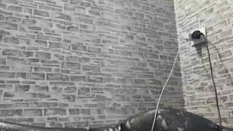 Snapshot of edithmanning chatting on February 2025 02:10:02 PM edithmanning online show from February 2025 02:10:02 PM