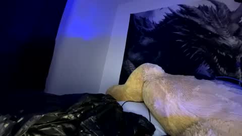 Snapshot of edvmendez1766 chatting on September 2025 10:07:01 AM edvmendez1766 online show from September 2025 10:07:01 AM