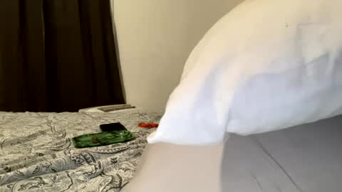 Snapshot of edvmendez1766 chatting on September 2025 10:08:01 AM edvmendez1766 online show from September 2025 10:08:01 AM