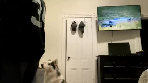 Snapshot of edvmendez1766 chatting on October 2025 05:33:01 AM edvmendez1766 online show from October 2025 05:33:01 AM