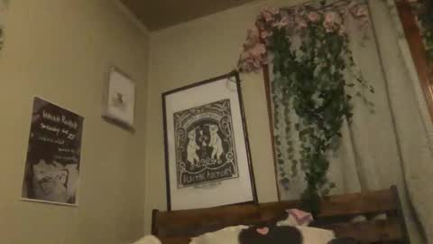 eggnog_and_booty online show from May 2026 04:07:02 AM