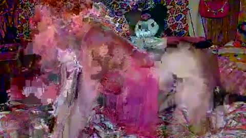 Snapshot of egirlhaile chatting on February 2025 03:42:01 AM Sparkly Haile online show from February 2025 03:42:01 AM