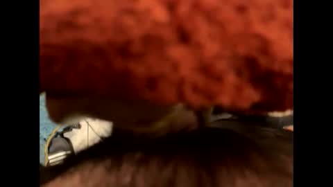 Snapshot of ehdgher chatting on November 2025 09:21:01 AM ehdgher online show from November 2025 09:21:01 AM