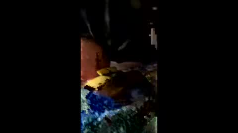 Snapshot of ehdgher chatting on February 2026 11:21:01 AM ehdgher online show from February 2026 11:21:01 AM