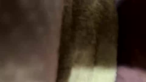 ehdgher online show from May 2026 12:56:02 PM