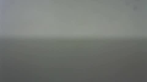 EIder online show from February 2026 03:51:02 AM