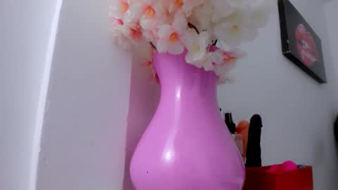 Snapshot of eimy_skinny chatting on January 2026 01:04:01 PM eimy online show from January 2026 01:04:01 PM