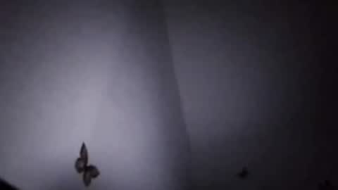 Ekspansion online show from January 2026 04:37:02 AM