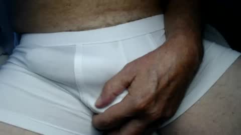 Snapshot of el_gato_lusty chatting on July 2026 11:20:02 AM el gato lusty online show from July 2026 11:20:02 AM