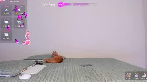 Ela  online show from June 2026 07:06:01 AM
