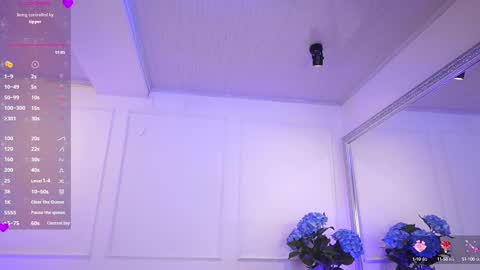 Elasummeer online show from March 2025 11:49:02 AM