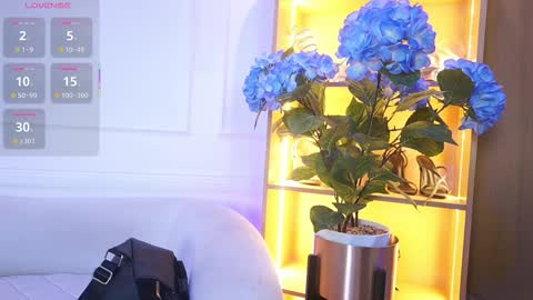 Snapshot of elasummeer chatting on December 2025 11:48:01 AM Elasummeer online show from December 2025 11:48:01 AM