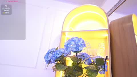 Snapshot of elasummeer chatting on December 2025 11:49:02 AM Elasummeer online show from December 2025 11:49:02 AM