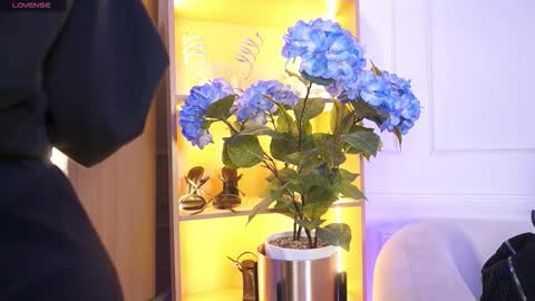 Snapshot of elasummeer chatting on December 2025 11:50:01 AM Elasummeer online show from December 2025 11:50:01 AM