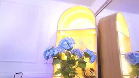 Snapshot of elasummeer chatting on December 2025 11:29:01 AM Elasummeer online show from December 2025 11:29:01 AM