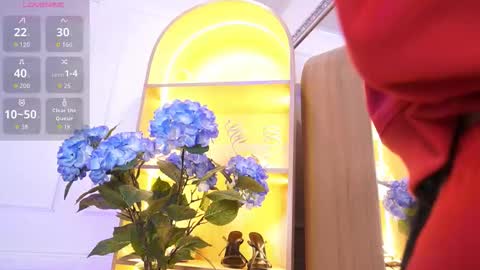 Snapshot of elasummeer chatting on January 2026 12:29:01 PM Elasummeer online show from January 2026 12:29:01 PM