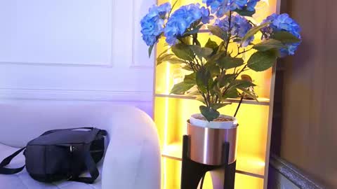 Snapshot of elasummeer chatting on January 2026 11:48:02 AM Elasummeer online show from January 2026 11:48:02 AM