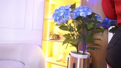 Snapshot of elasummeer chatting on January 2026 12:00:01 PM Elasummeer online show from January 2026 12:00:01 PM