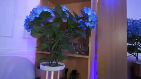 Snapshot of elasummeer chatting on February 2026 02:23:01 PM Elasummeer online show from February 2026 02:23:01 PM