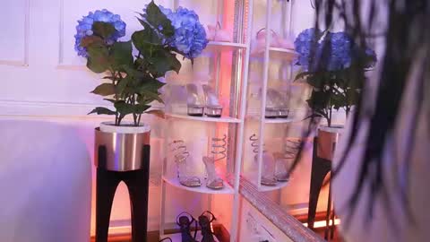 Snapshot of elasummeer chatting on February 2026 12:00:01 PM Elasummeer online show from February 2026 12:00:01 PM