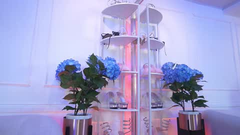 Snapshot of elasummeer chatting on February 2026 11:50:01 AM Elasummeer online show from February 2026 11:50:01 AM