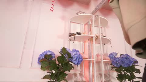 Snapshot of elasummeer chatting on February 2026 11:51:01 AM Elasummeer online show from February 2026 11:51:01 AM