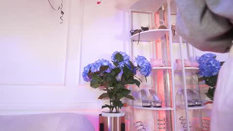 Snapshot of elasummeer chatting on February 2026 11:50:01 AM Elasummeer online show from February 2026 11:50:01 AM