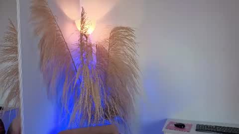 Elecktra online show from June 2026 07:24:01 PM