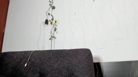 Snapshot of eleecttraa_12 chatting on February 2025 12:46:01 AM Electra online show from February 2025 12:46:01 AM