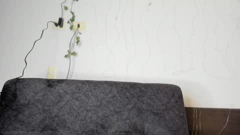 Snapshot of eleecttraa_12 chatting on March 2025 08:48:01 PM Electra online show from March 2025 08:48:01 PM