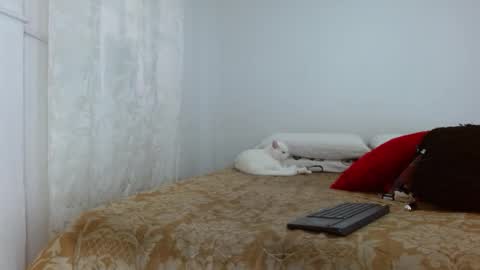 elektra online show from October 2025 04:08:02 PM