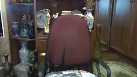 ElenaZed online show from July 2026 03:35:01 AM