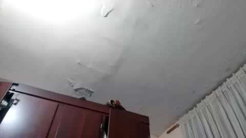 elianis598477 online show from February 2026 10:08:02 AM