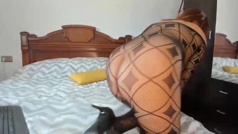 elifgirasol online show from February 2026 11:52:01 AM