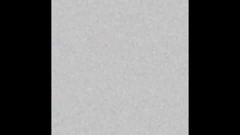 Snapshot of eligraysonx chatting on December 2025 12:51:01 AM Eli Grayson online show from December 2025 12:51:01 AM