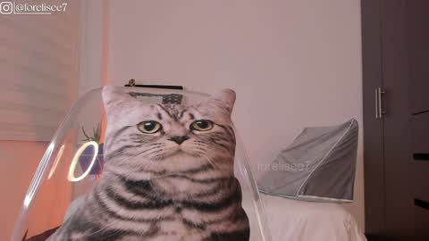 Snapshot of elise_77 chatting on December 2024 07:16:01 AM Eli online show from December 2024 07:16:01 AM