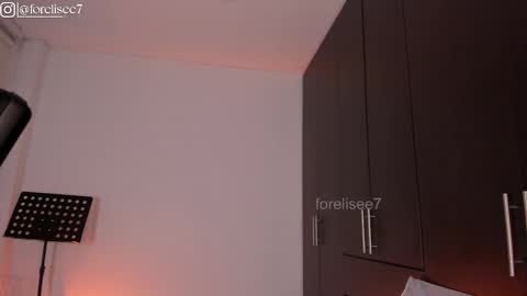 Snapshot of elise_77 chatting on February 2025 08:16:01 AM Eli online show from February 2025 08:16:01 AM