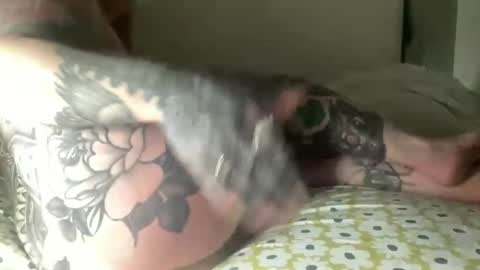 ellehendrix online show from March 2026 04:40:01 AM