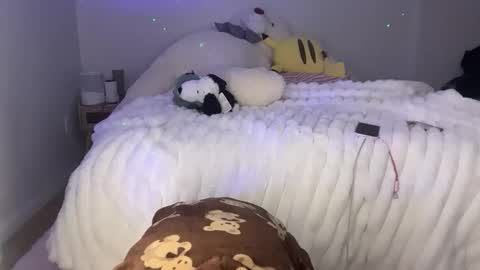 ellie online show from February 2026 05:39:02 AM