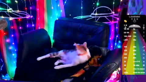 Ellie online show from June 2026 09:14:01 AM