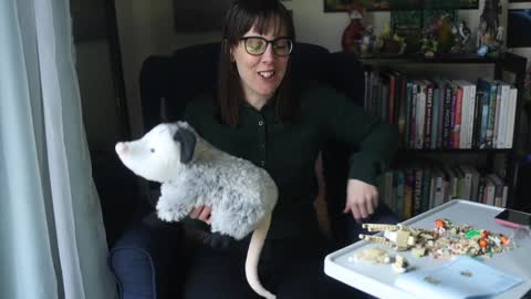 Elly Naomi online show from January 2025 04:38:01 PM