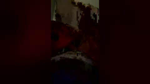 Snapshot of elmer70412393 chatting on June 2026 04:35:01 AM elmer70412393 online show from June 2026 04:35:01 AM