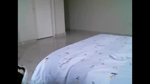 Elphaba online show from February 2026 10:05:02 AM