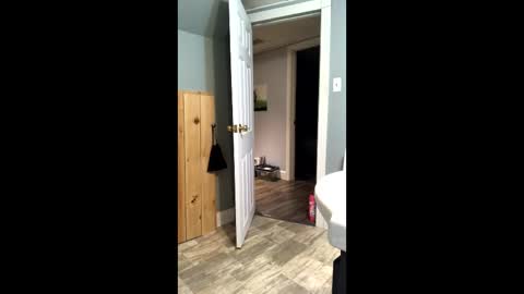 Elpouro online show from April 2026 09:07:01 AM