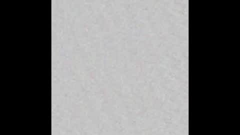 Ely online show from December 2024 11:22:02 AM