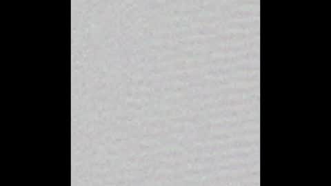 Ely online show from January 2025 11:24:01 AM