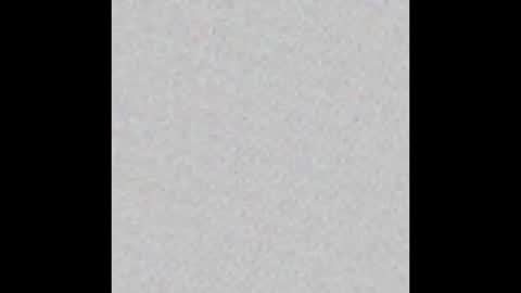 Ely online show from January 2025 11:23:02 AM