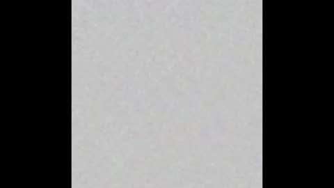 Ely online show from January 2025 11:23:02 AM