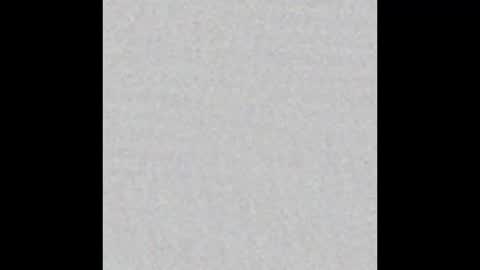 Ely online show from February 2025 12:01:02 PM